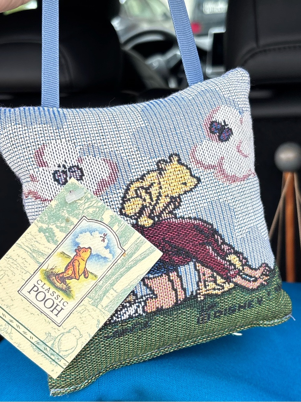Vintage Disney Classic Pooh Tapestry Pillow | Winnie the Pooh Hanging Pillow | G